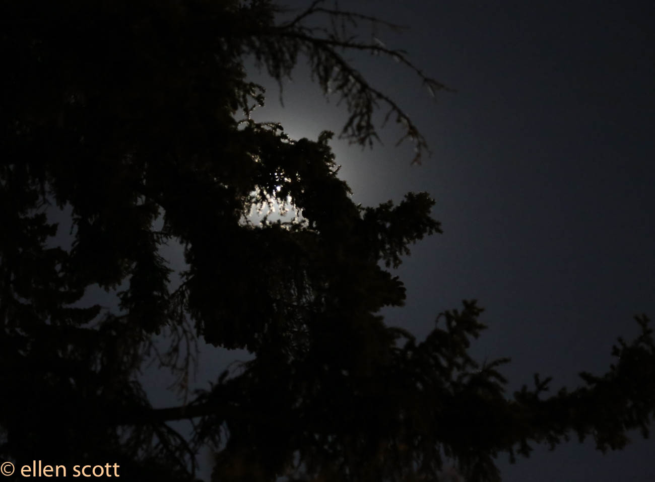 Full-moon, FourPoint-Photography, Outdoor-Photography